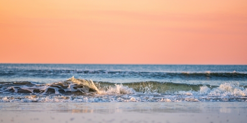 Image for Thankful Tides Thanksgiving Savings