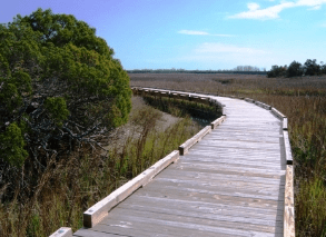 Things To Do Harbour Town's Yacht Basin