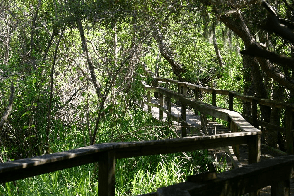 Things To Do Sea Pines Forest Preserve