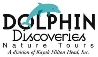 Things To Do Dolphin Discoveries Nature Tour