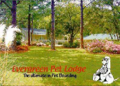Things To Do Evergreen Pet Lodge