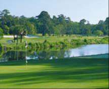 Things To Do George Fazio Course