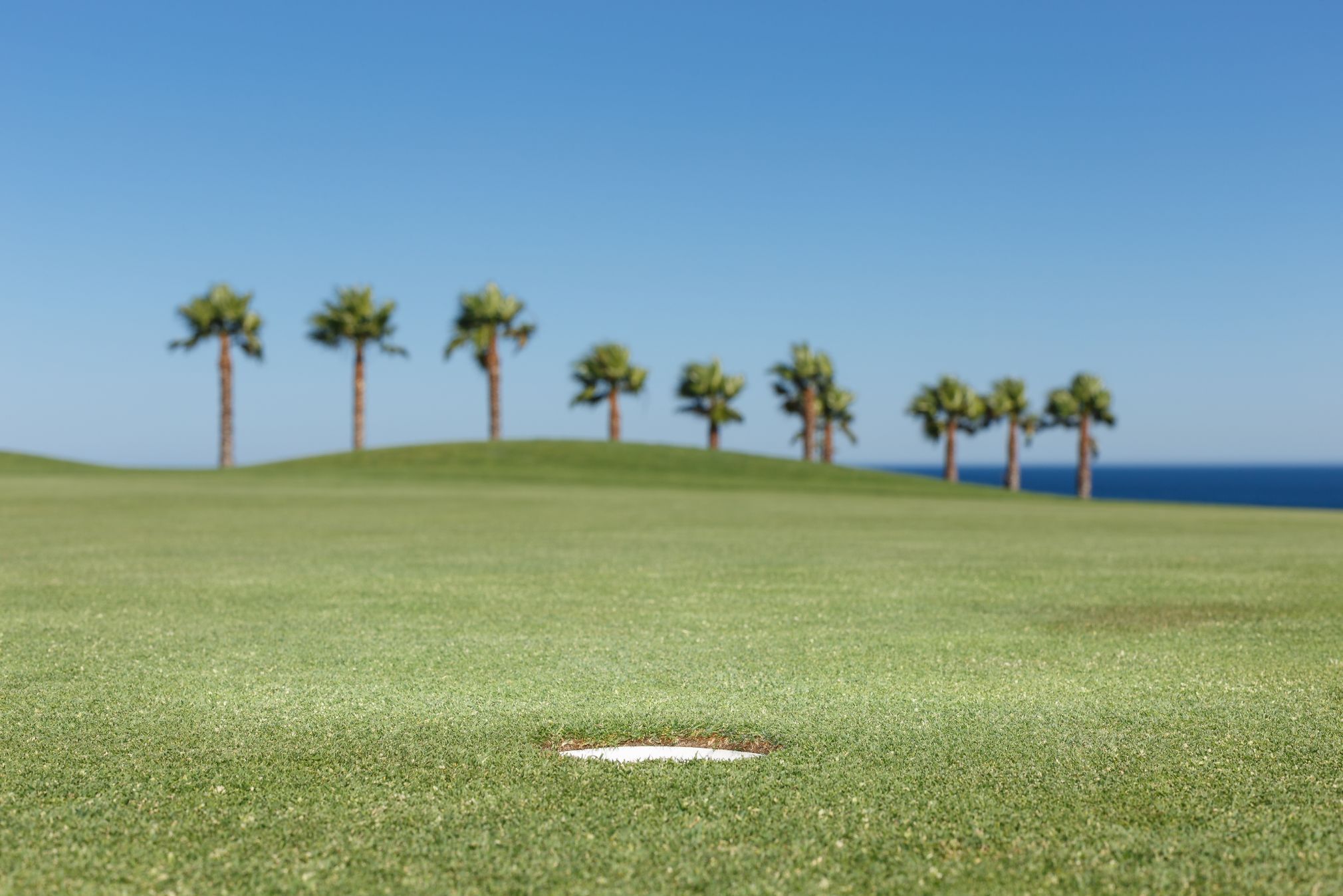 Things To Do Atlantic Dunes Golf Course