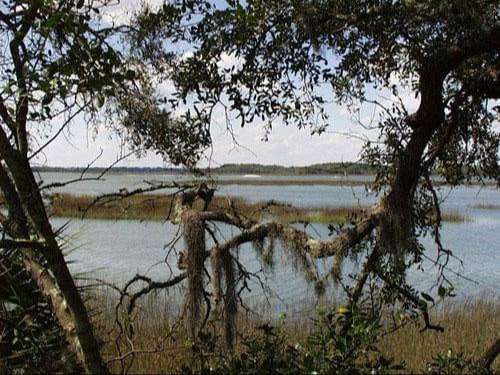 Things To Do Green Shell Park