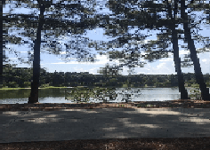 Things To Do Jarvis Creek Park