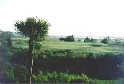 Things To Do Old South Golf Links