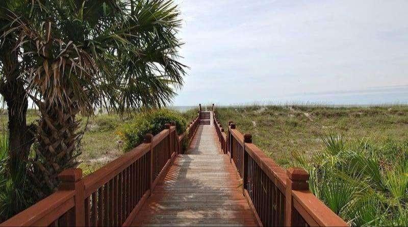 wooden boardwalk leading over sand dunes to the ocean