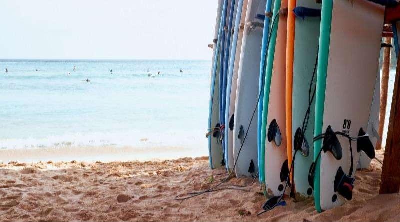 Several surfboards lined up on a sandy beach, with people surfing in the ocean in the background. 