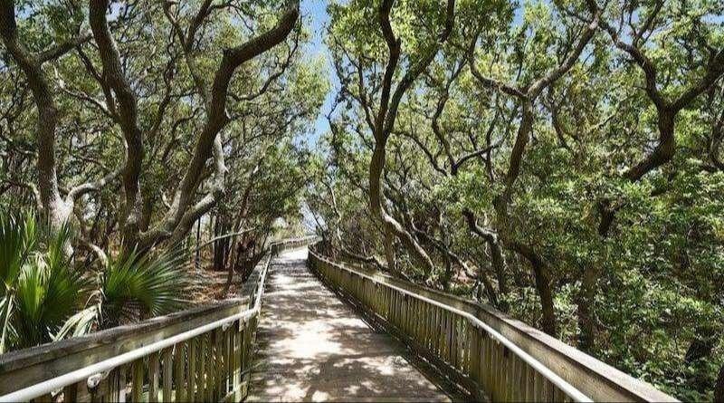 Port Royal Rentals | Hilton Head Island