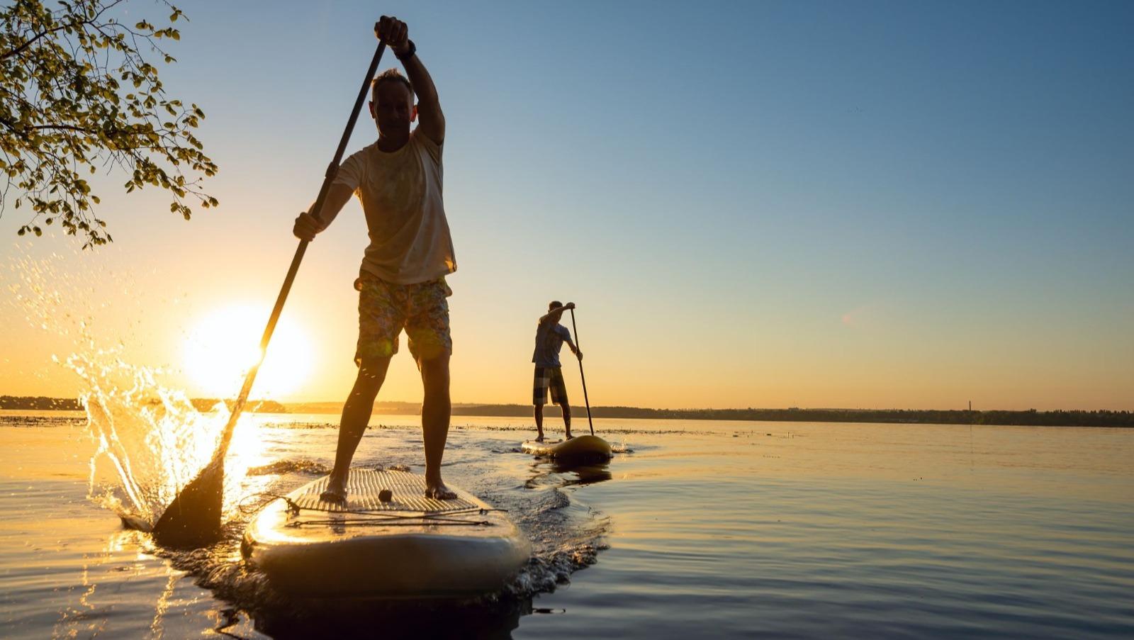 people engaging in stand-up paddleboarding during a sunrise.