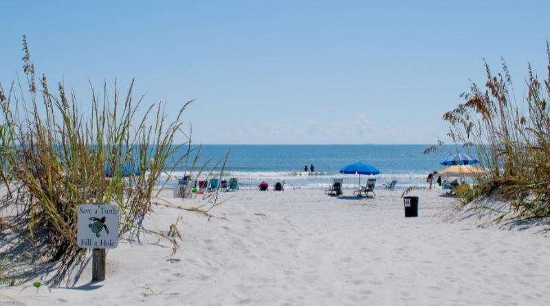 Palmetto Dunes Beach