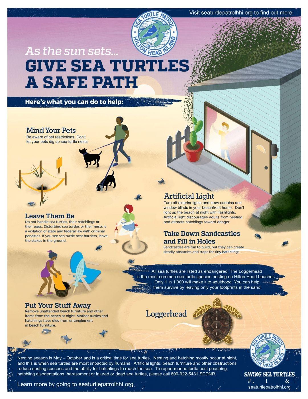 Animal Beach Regulation Guide