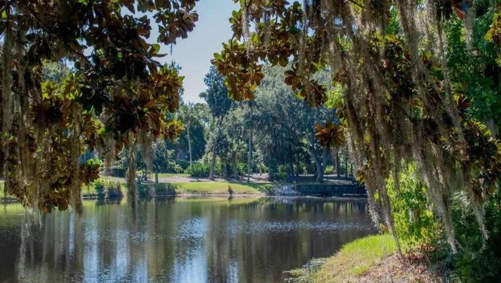 peaceful lagoon within the Shipyard Plantation area