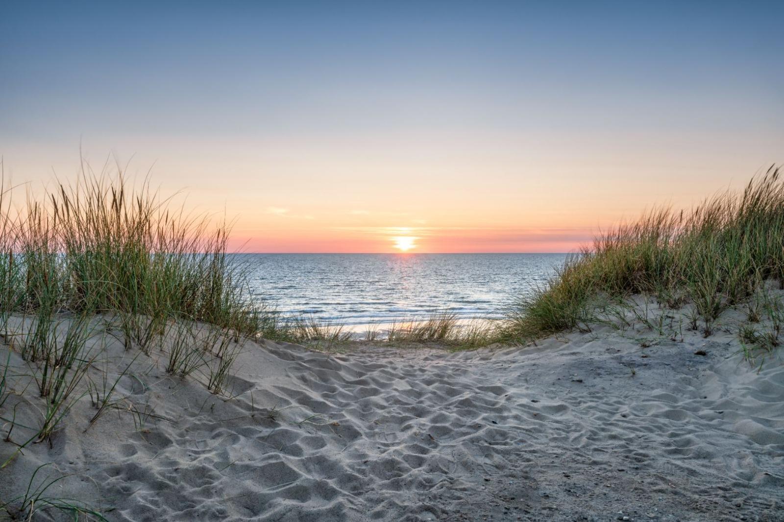 Sandy path through tall beach grass and dunes leading toward the ocean